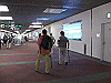 IMG_0032_THUMB.GIF
