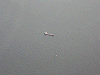 IMG_0056_THUMB.GIF