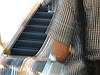 IMG_0063_THUMB.GIF
