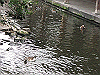 IMG_0073_THUMB.GIF
