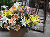 IMG_0076_THUMB.GIF