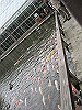 IMG_0103_THUMB.GIF