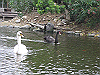 IMG_0116_THUMB.GIF