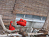 IMG_0122_THUMB.GIF