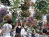 IMG_0127_THUMB.GIF