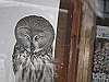 IMG_0132_THUMB.GIF