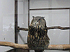 IMG_0139_THUMB.GIF