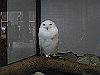 IMG_0140_THUMB.GIF