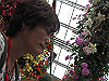 IMG_0147_THUMB.GIF