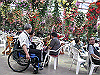 IMG_0148_THUMB.GIF