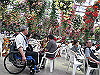 IMG_0149_THUMB.GIF