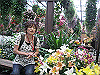 IMG_0150_THUMB.GIF