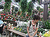 IMG_0151_THUMB.GIF