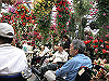 IMG_0157_THUMB.GIF