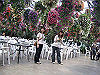 IMG_0159_THUMB.GIF