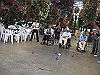 IMG_0179_THUMB.GIF