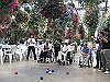 IMG_0182_THUMB.GIF
