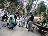 IMG_0186_THUMB.GIF