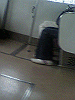 P1000006_THUMB.GIF