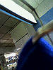 P1000011_THUMB.GIF