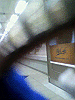 P1000012_THUMB.GIF
