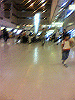 P1000014_THUMB.GIF