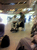 P1000017_THUMB.GIF
