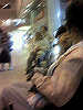 P1000018_THUMB.GIF