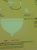 P1000020_THUMB.GIF