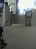 P1000043_THUMB.GIF
