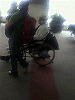 P1000046_THUMB.GIF