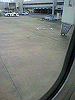 P1000049_THUMB.GIF
