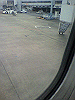 P1000050_THUMB.GIF