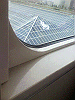 P1000067_THUMB.GIF