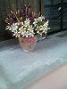 P1000073_THUMB.GIF