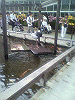 P1000094_THUMB.GIF