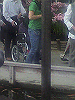 P1000096_THUMB.GIF