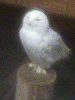 P1000098_THUMB.GIF