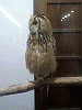 P1000099_THUMB.GIF