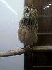 P1000100_THUMB.GIF