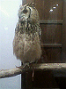 P1000101_THUMB.GIF