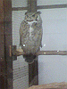 P1000103_THUMB.GIF