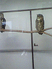 P1000108_THUMB.GIF