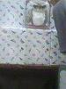 P1000112_THUMB.GIF