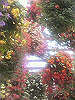 P1000113_THUMB.GIF