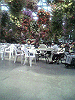 P1000115_THUMB.GIF