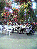 P1000116_THUMB.GIF
