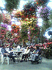 P1000117_THUMB.GIF