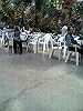 P1000118_THUMB.GIF
