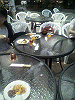 P1000123_THUMB.GIF